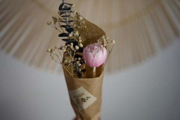 La Pivoine