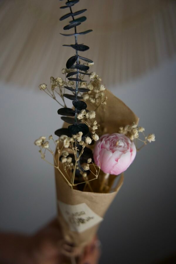 La Pivoine – Image 2