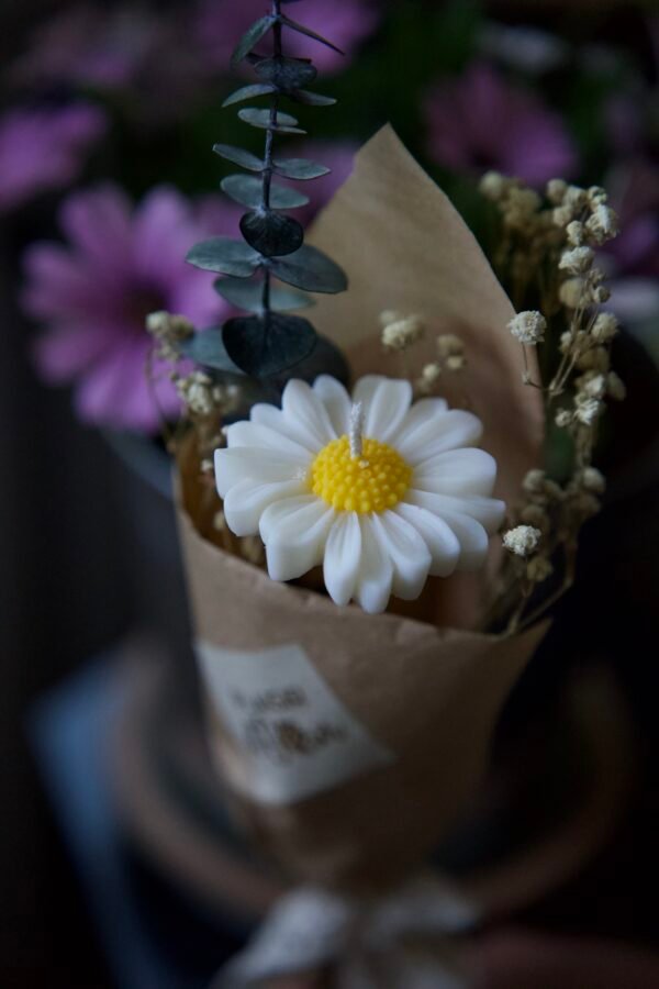 La Marguerite – Image 4