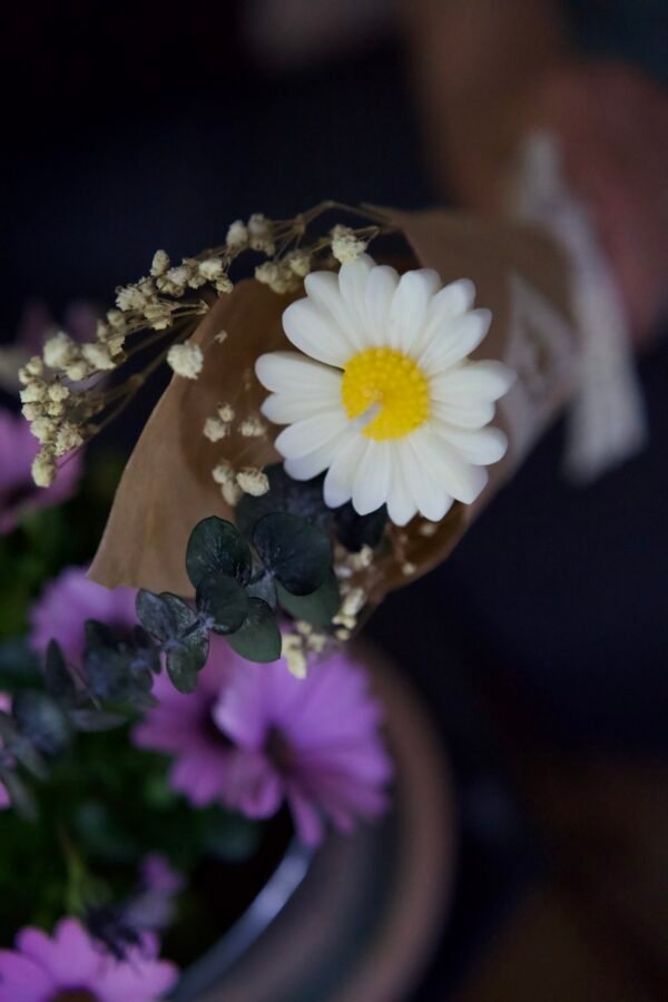 La Marguerite – Image 3