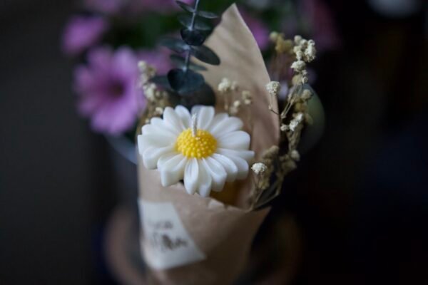 La Marguerite – Image 2