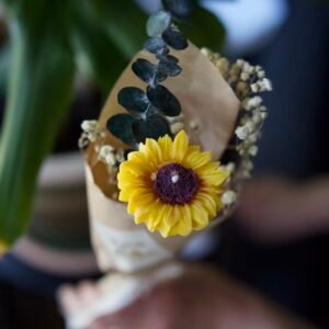 Le Tournesol
