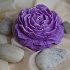 La Pivoine