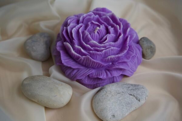 La Pivoine