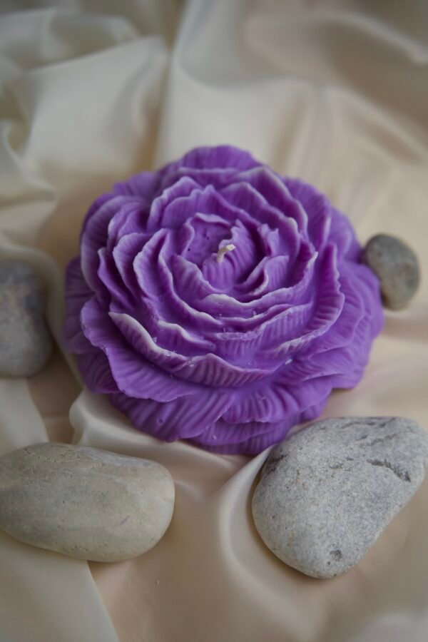La Pivoine – Image 5
