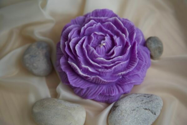 La Pivoine – Image 4