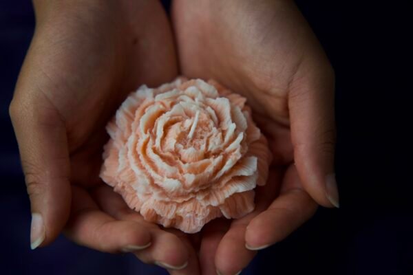 La Pivoine – Image 3