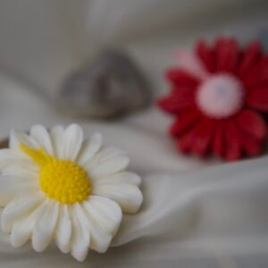 Le Fondant Marguerite